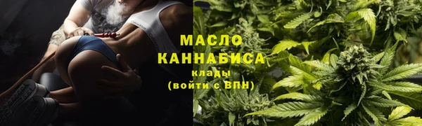 гидра Богородск