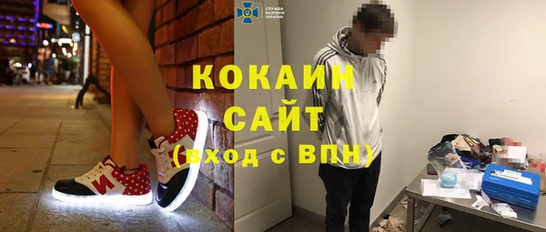 индика Богданович
