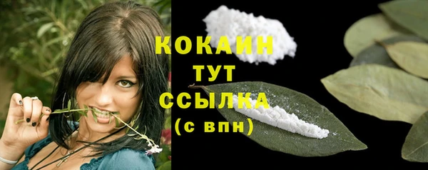 гидра Богородск
