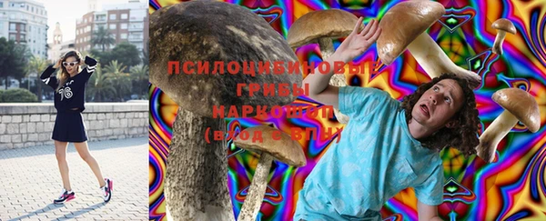 индика Богданович