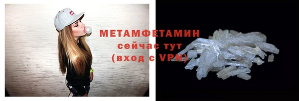 индика Богданович