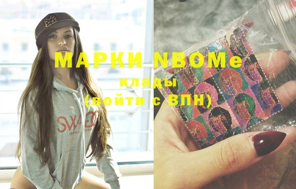 индика Богданович