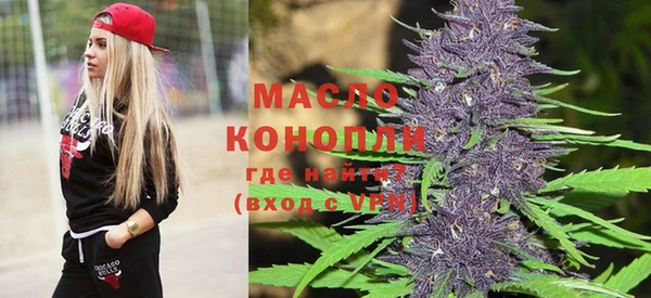индика Богданович