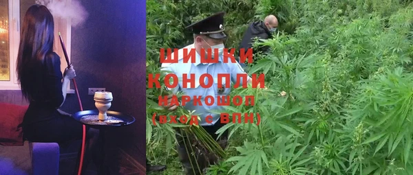 гидра Богородск