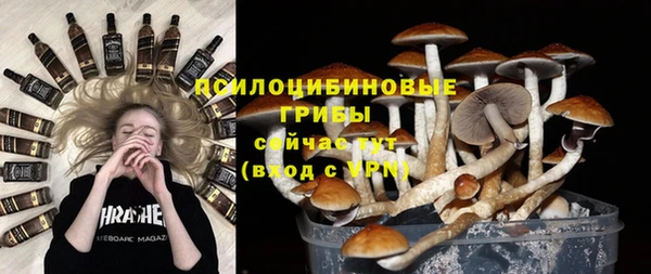 индика Богданович