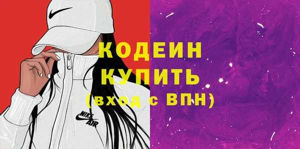 индика Богданович