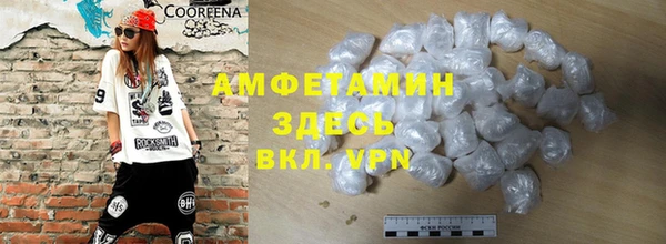 гидра Богородск