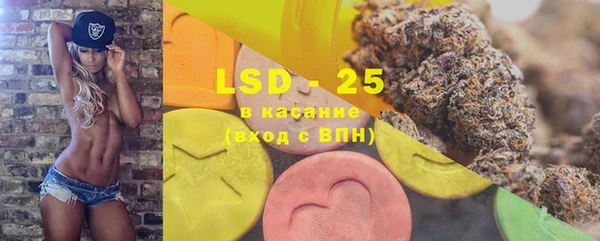 индика Богданович