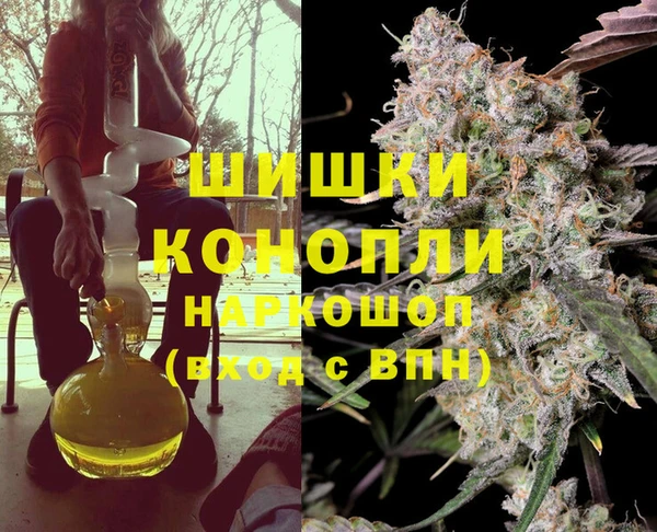 гидра Богородск