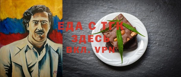 индика Богданович