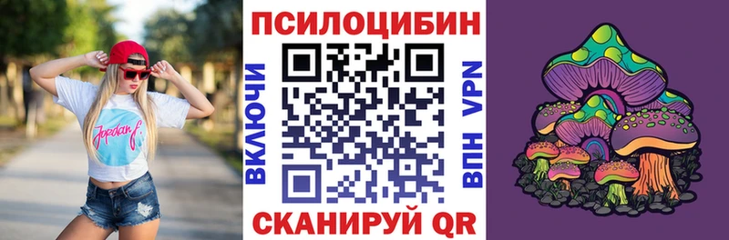 Купить закладки Алексин Псилоцибиновые грибы MAGIC MUSHROOMS